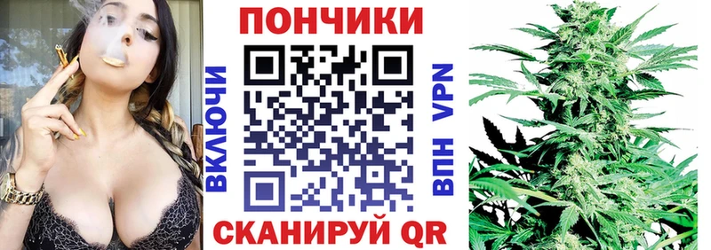 Конопля сатива  Купить закладки  Шагонар 
